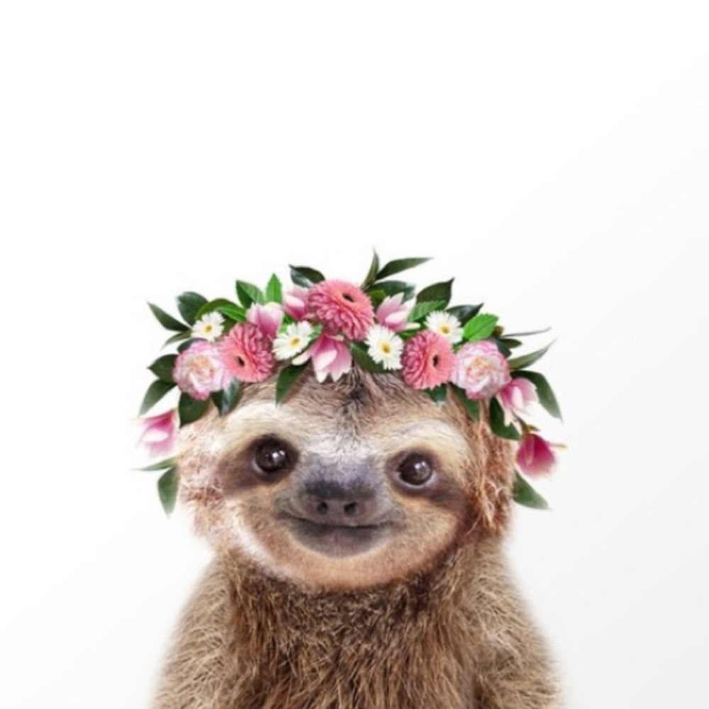 Meet your Posher, Star